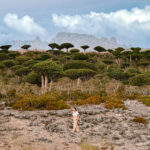 Hiking through the Dragon’s Blood Tree forest in Socotra, a signature experience included in Socotra tours since independent travel isn’t possible.